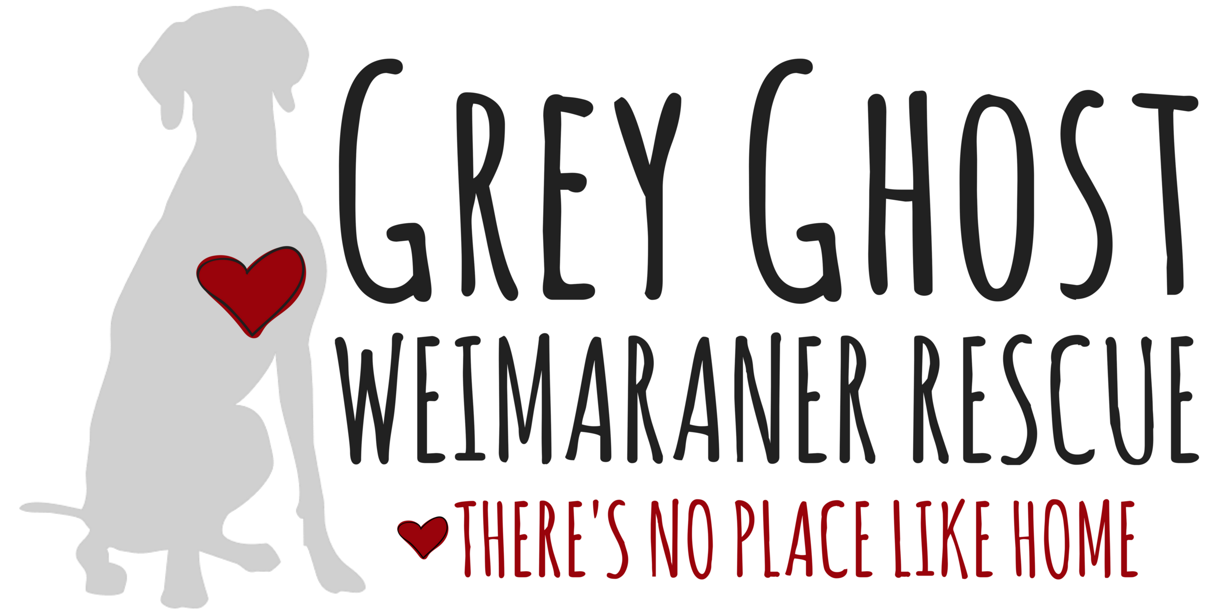 Weimaraner 2024 needs rehoming